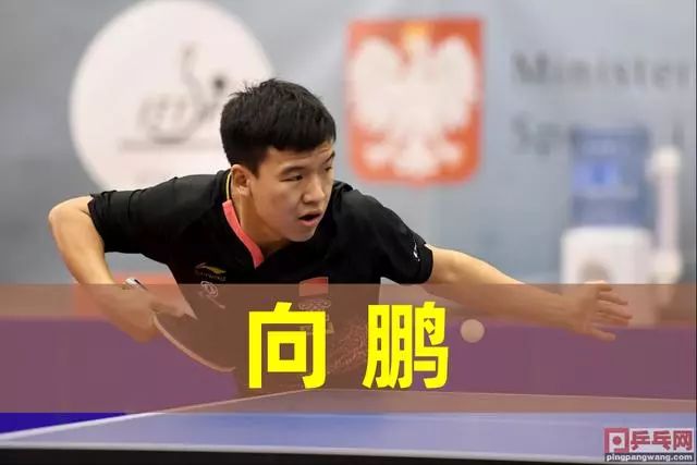 意味着这段 意味着这段