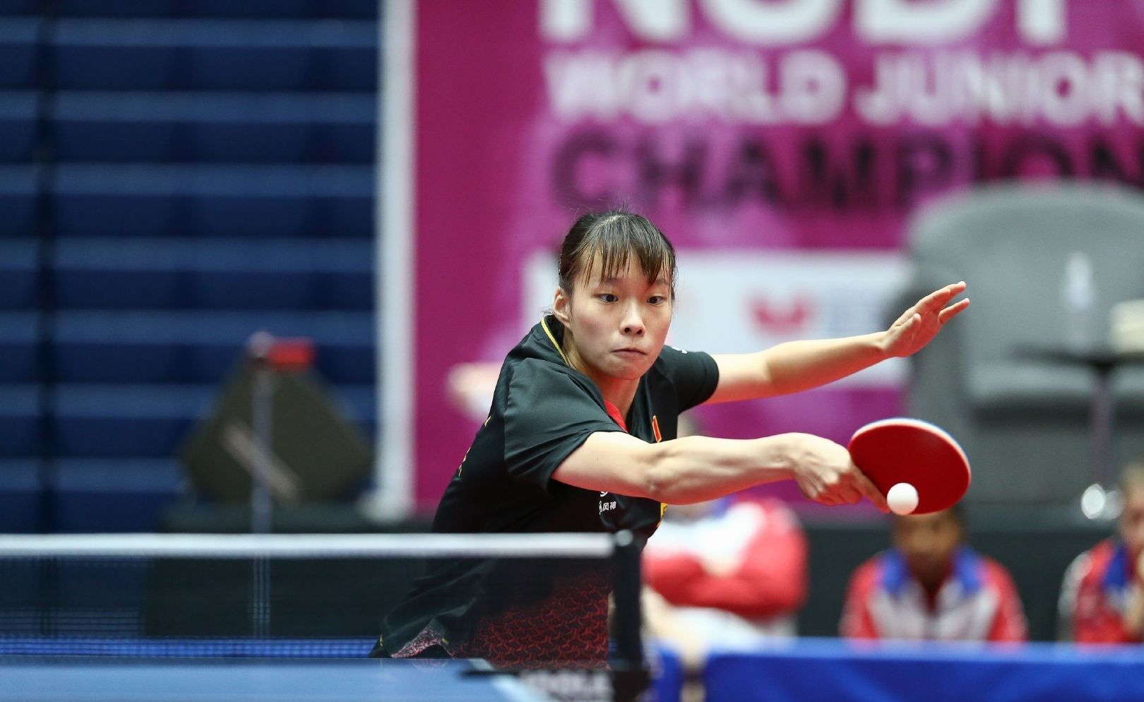 通过这些赛 通过这些赛